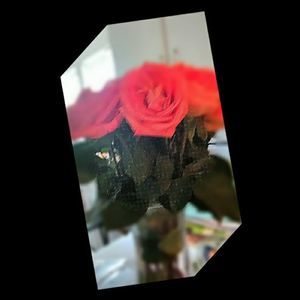 Meet your Posher, Moleta